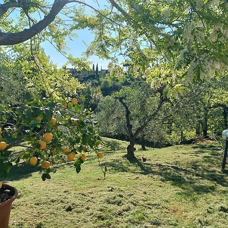 Le Massucce San Casciano in Val di Pesa Eksteriør billede