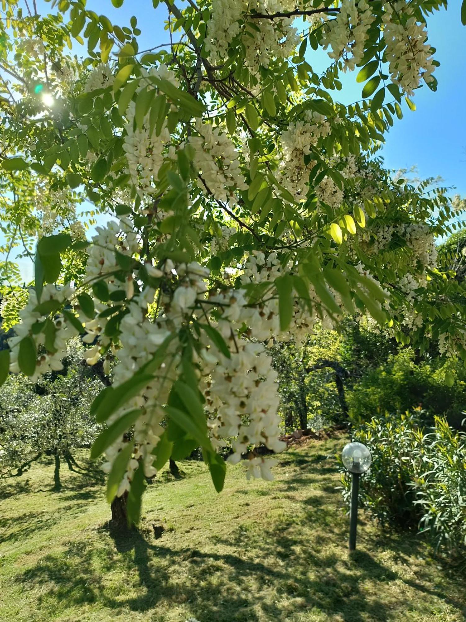 Le Massucce San Casciano in Val di Pesa Eksteriør billede