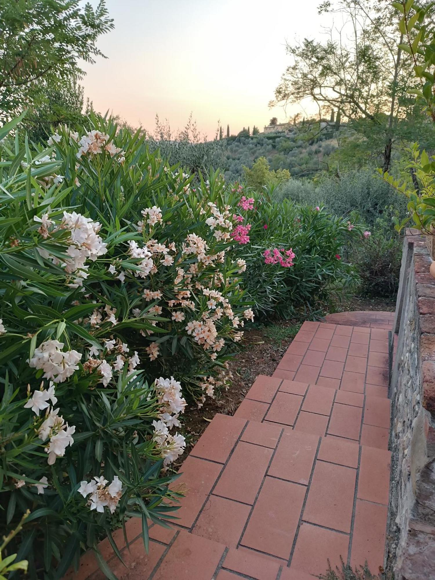 Le Massucce San Casciano in Val di Pesa Eksteriør billede