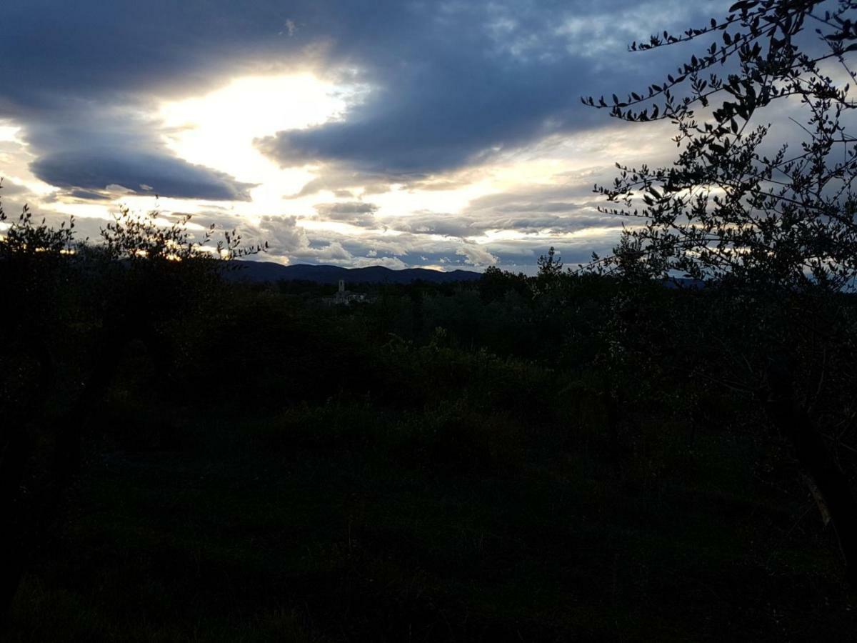 Le Massucce San Casciano in Val di Pesa Eksteriør billede