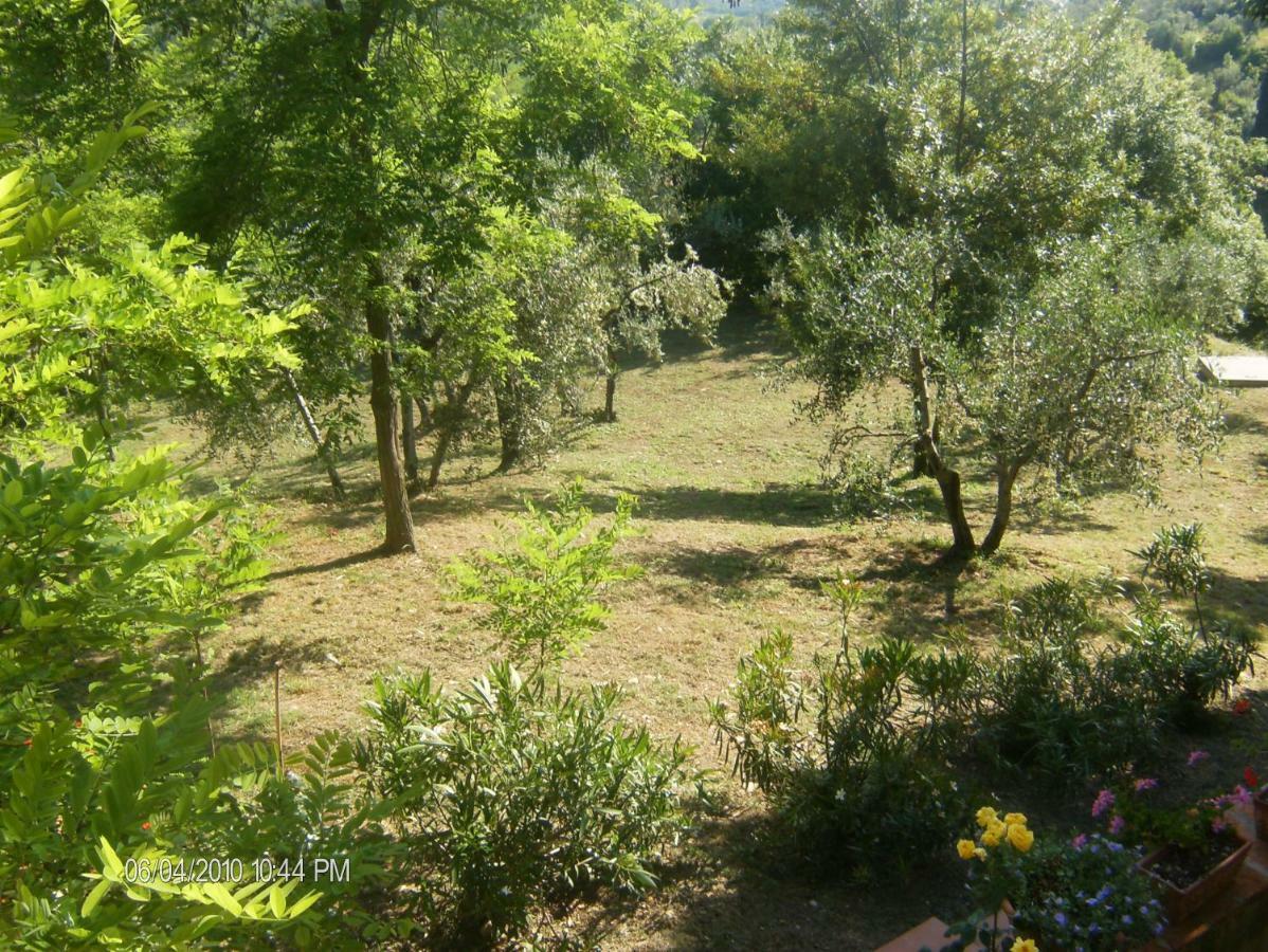 Le Massucce San Casciano in Val di Pesa Eksteriør billede