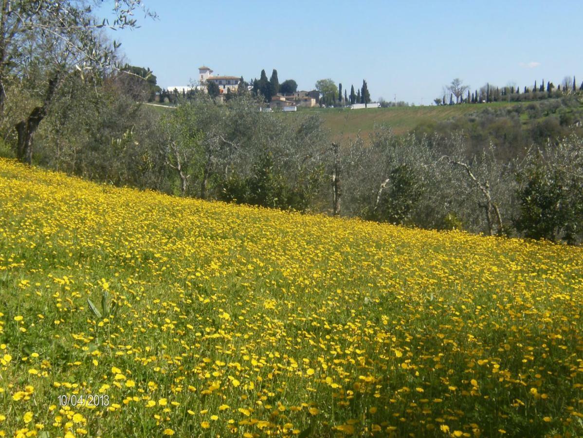 Le Massucce San Casciano in Val di Pesa Eksteriør billede
