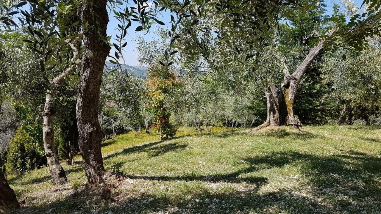 Le Massucce Villa San Casciano in Val di Pesa Eksteriør billede